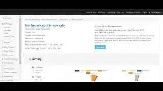 Vigiles User Guide: Exporting an SBOM in SPDX format