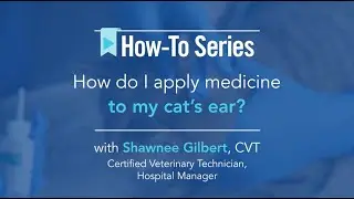AskVCA - How do I apply medicine to my cat's ear?
