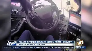 Police officer rescues kitten from Missouri freeway