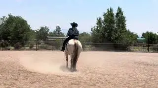 AUGUST - CLASS #19 - WESTERN HORSEMANSHIP WALK/JOG OPEN - RENAE CHAFEY