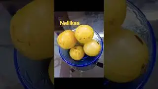 Nellikka Uppilittalo 🥰😂#recipe #food #mycooking #salad #viral #shorts #trending #achar