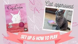 Cat Lady: Set Up, How to Play, and Review [Board Game]