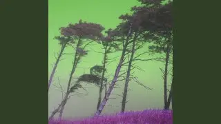 Unique Ambiance for Fine Fusion