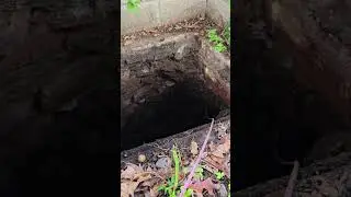 Sewer scope from a cesspool