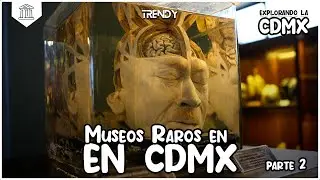 Museos Raros en CDMX Parte 2: Descubre lo Ins&oacute;lito y Asombroso