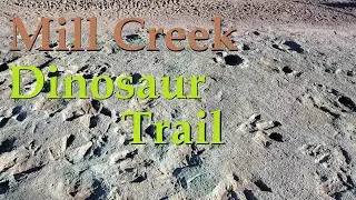 Mill Canyon Dinosaur Trail Utah