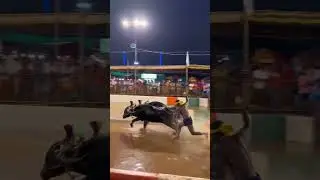 Mangalore Kambala Naringana Kambala2026