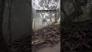 Places In India That Look Unreal : Kodaikanal Guna Caves #india #kodaikanal #tamilnadu #travel