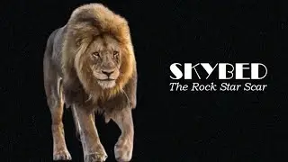 Lions &brvbar; SKYBED (Rock Star Scar & his Mega Gang from Greater Kruger NP) #lion