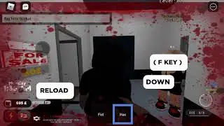 Ebk video