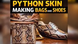 Python Skin: How Luxury Bags and Shoes Are Made #trending #viral 