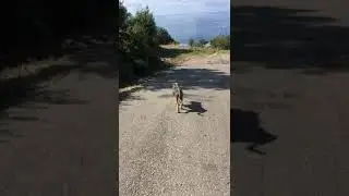 Cassandra days after she found the Sanctuary in October 2021