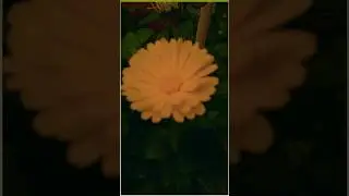 #rockstar444#rockstar#30secwhatsappstatus #million#tiktok#shortfeed#shortvedio#youtubeshorts#flowers