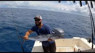 King Fish While Bottom Fishing for Snapper Outside Key Biscayne