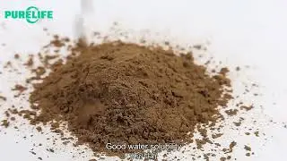 Cissus Quadrangularis Extract