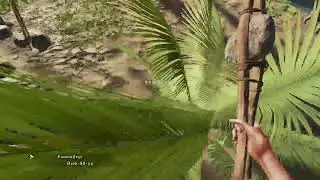 Stranded deep / Insel Chaos
