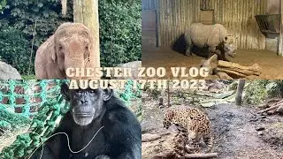 Chester zoo Vlog | August 17th 2023