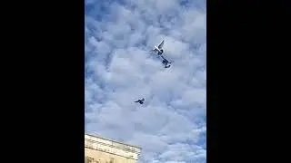 Pigeon #pravu #petlover #flying  #parava #jonahsambath