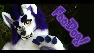Suyuan the FooDog