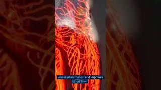 The Secret to Healthy Blood: Discovering the Anticoagulant Benefits of Pygeum Bark