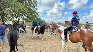 FEIRA DE CAVALOS EM ALTINHO-PE DIA 17/01/2026
