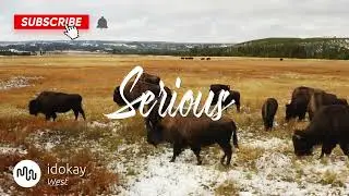 Best Jazz Serious Music for Video [ idokay - West ]