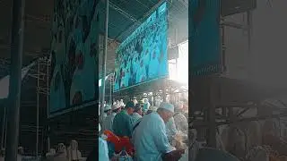Maulid Nabi Muhammad saw #shorts #surabaya #kyaiasrori