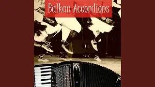 Harmonikaško Kolo