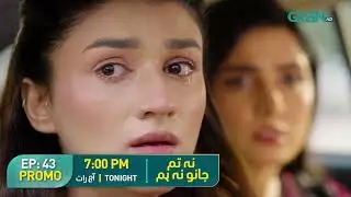 Na Tum Jano Na Hum - Episode 43 Promo | Tonight at 7:00 PM | Hassan Khan | Hina Tariq
