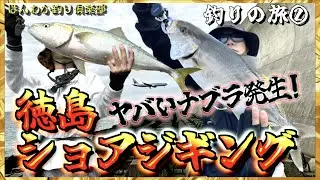 第97話【徳島ショアジギング②】徳島阿波おどり空港でドラゴンナブラが来た！の巻。