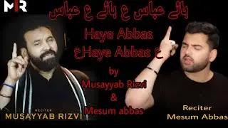 Haye Abbas Haye Abbas ||Musayyab Rizvi||Mesum Abbas||Karabala
