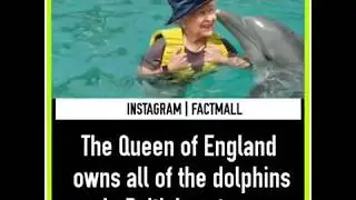 Most interesting facts of 2016