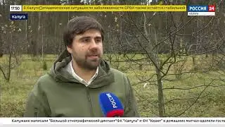 Периоды зимнего сна у растений