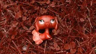 LPS Halo