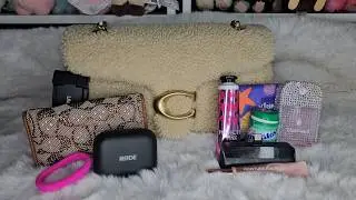 Подробный обзор овчины Coach Shearling Tabby 26 и её подходящих вариантов 🐑