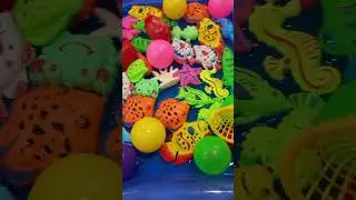 Kereen😍Menjaring💖Dapat🤩Lobster💖Besar🤩💖Mantul🤩 #shorts #playground