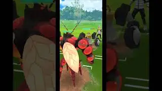 Buzzwole Vs Tapu Bulu Leads in Master League - Pokemon GO