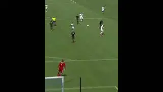 Zlatan Ibrahimovic Legendary Long Shot Goal