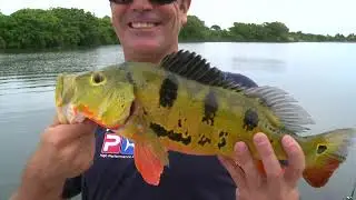 HOOKED ON THE PALM BEACHES BASS WEST TO EAST