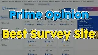 Prime Opinion Survey Site Review 2026