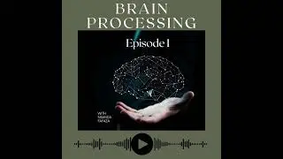Episode 1: Types of brain processing, creative thinking vs critical thinking