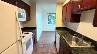 1317 6th Ave N Apartments ~ 2BD/2BA