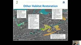 Grand Calument River AOC restoration work