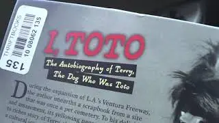 Joe Nania - Altadena - California  - 4:24 P.M. 10-7-2017