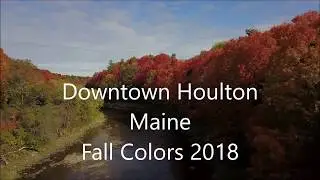 Houlton Maine Leaves 2018