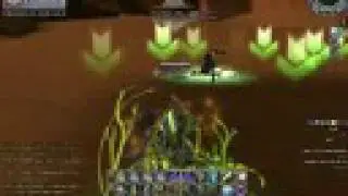 Bellato ranger (Sniper - Infiltrator) and lv47/lv50 traps