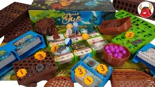 🐿️ Everdell Duo Insert Brettspiel Boardgame Inlay Organizer 3D Tokens