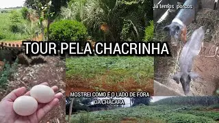 TOUR PELA CHÁCARA LADO DE FORA JÁ TEMOS PORQUINHOS MANDIOCA PLANTADA E OUTRAS VERDURAS 