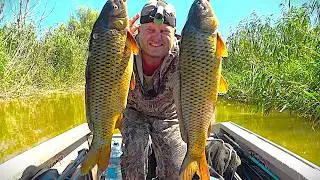 OVERNIGHT CARP FISHING. Catching carp in the reeds using pressed bait cakes. Catfish fishing with...