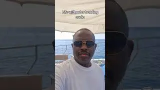 Life without a trending audio